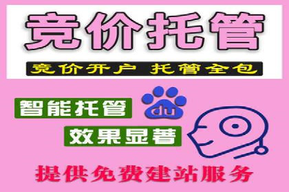 百度竞价SEM案例分享：如何实现精准营销