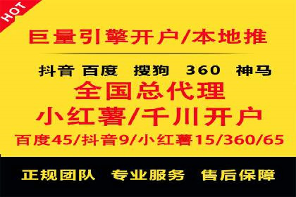 某企业通过SEO和SEM双管齐下实现业绩飞跃的案例